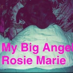 Meet your Posher, Bridgett